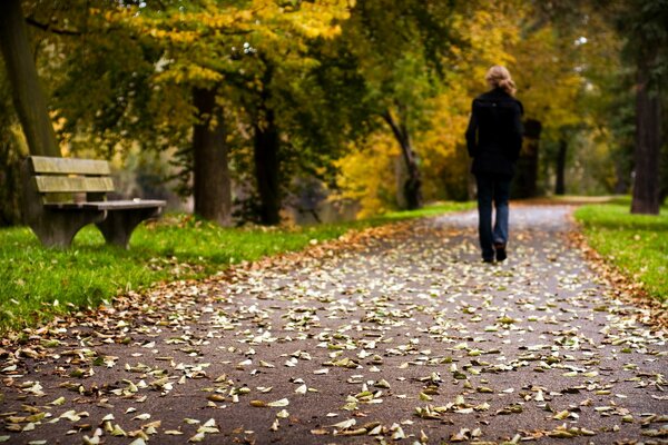 Chute des feuilles dans le parc d automne, la jeune fille va