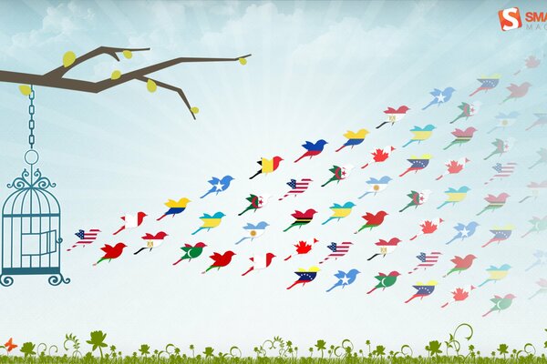 Birds in the colors of flags of different countries