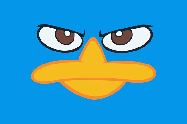 Platypus perry from the animated series Fenis and Ferb