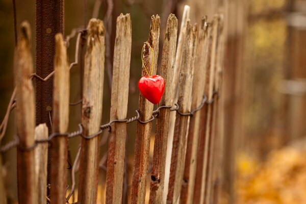 Corazón en la cerca en los rayos del sol que se va