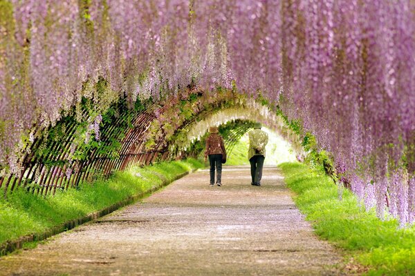 Belle promenade dans le parc fleuri