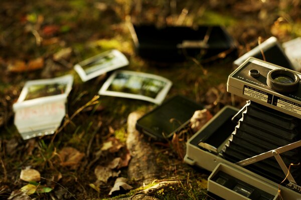 A rare camera and a photo lying on withered leaves