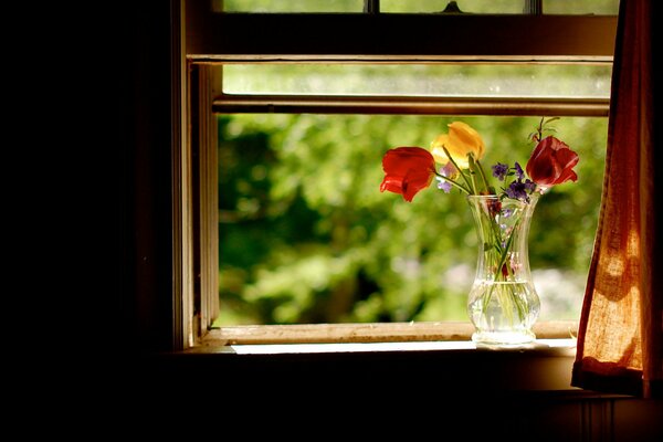 Vase with flowers in an open window