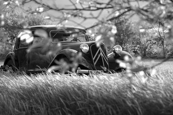 Máquina en el campo en un fondo blanco y negro