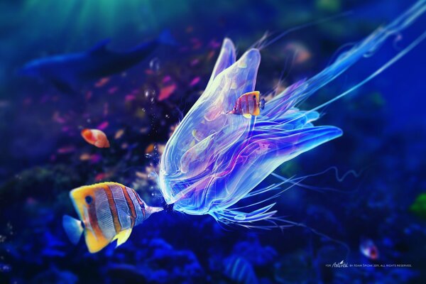 Title underwater jellyfish with fish in the blue theme