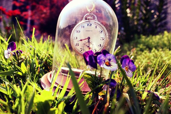 A clock in a transparent flask among grass and pansies