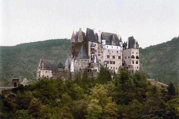 Castello in Germania nel mezzo della foresta