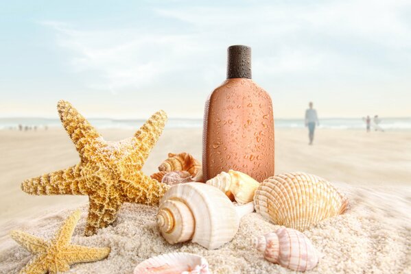 Sur la plage, coquillages et étoiles de mer dans le sable