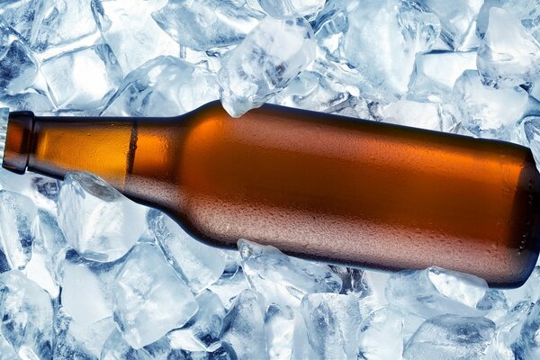 A bottle of beer on the background of ice cubes