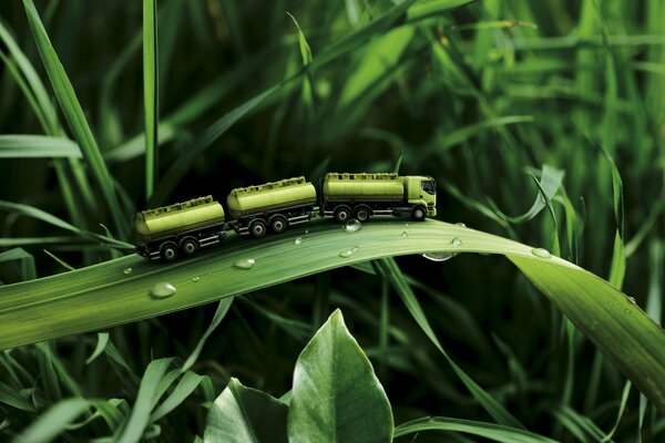 A green car on a green blade of grass