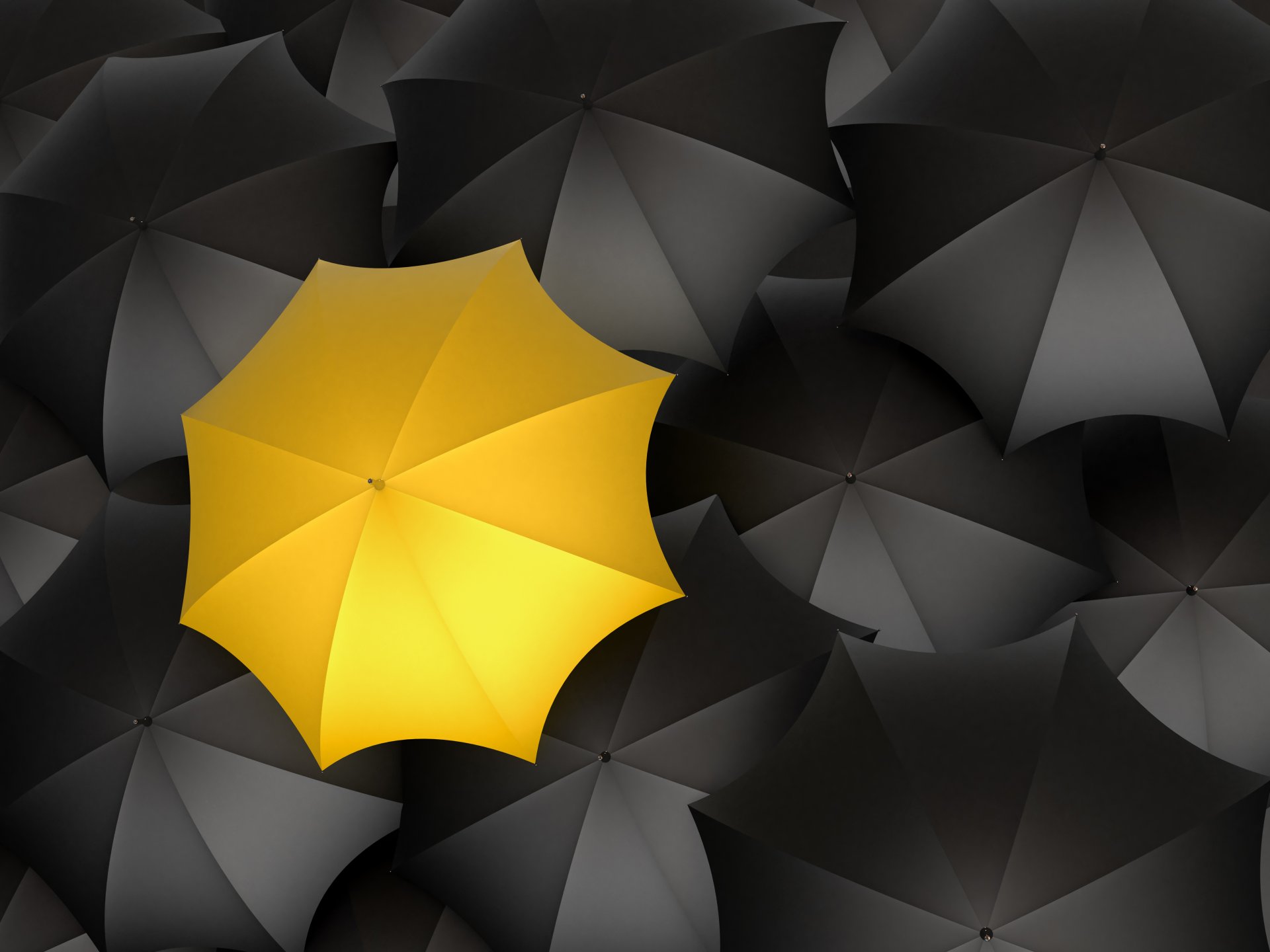 umbrellas black yellow