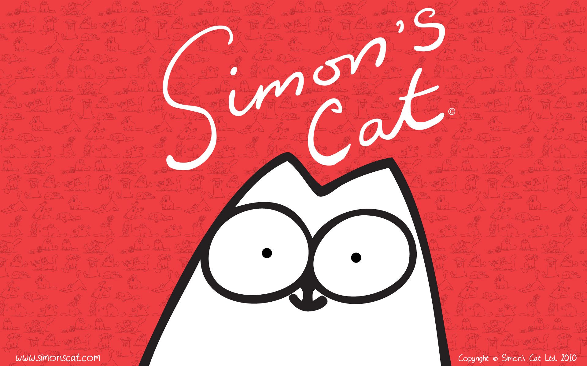 simon die katze simon