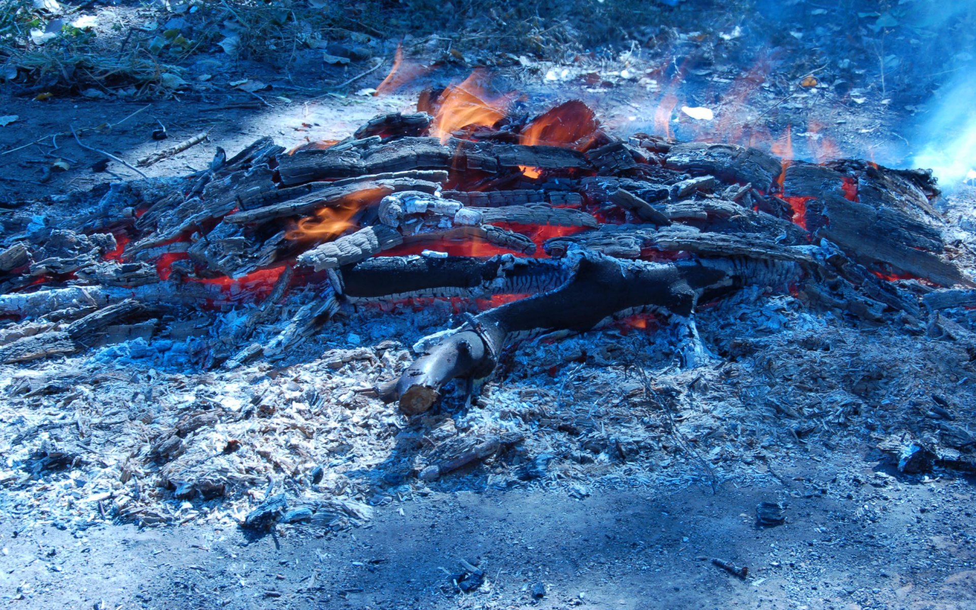 feu bûche flamme