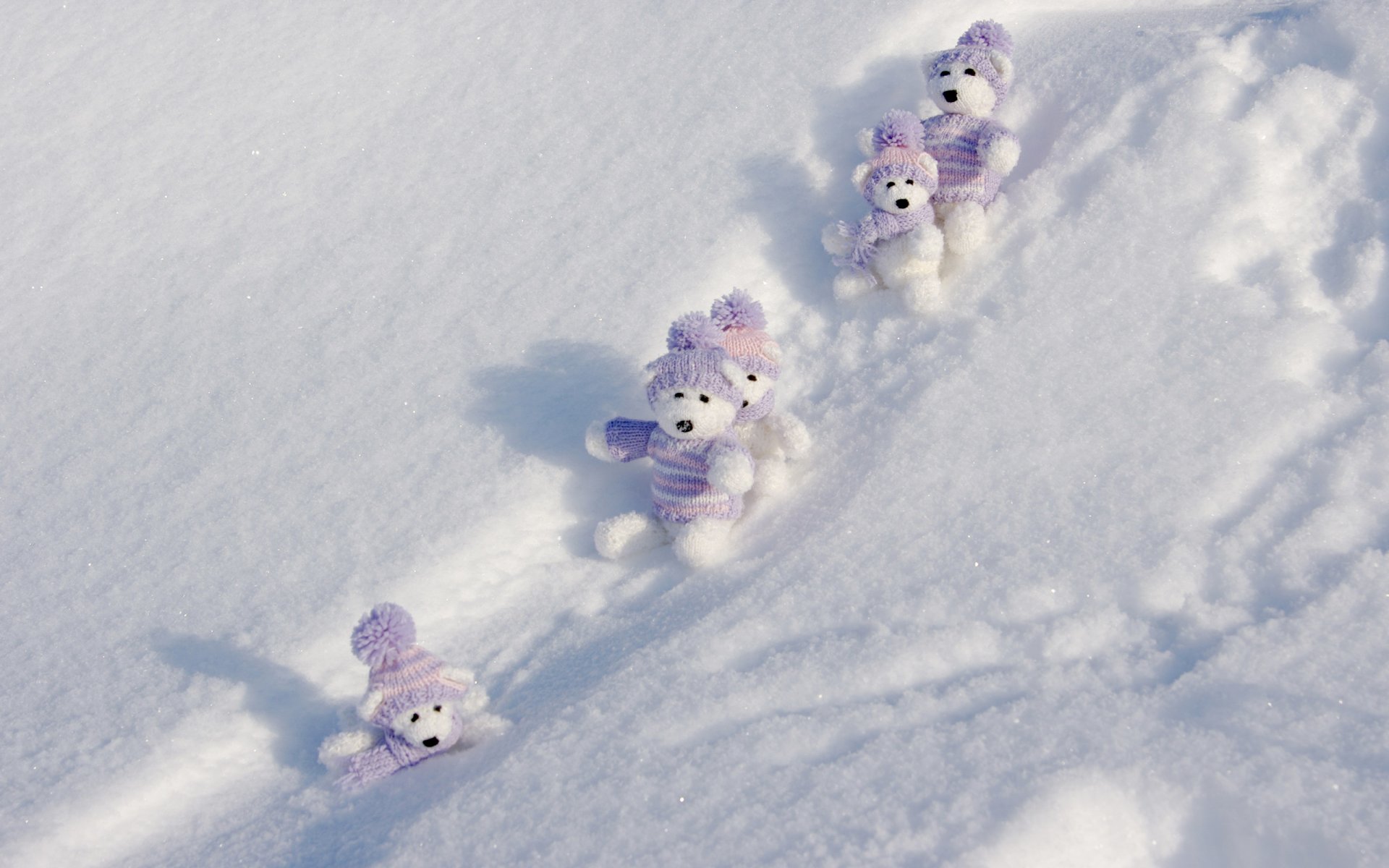 winter snow snowdrifts sparks bears white cubs toys cute shadows clothes sweater hat stripe