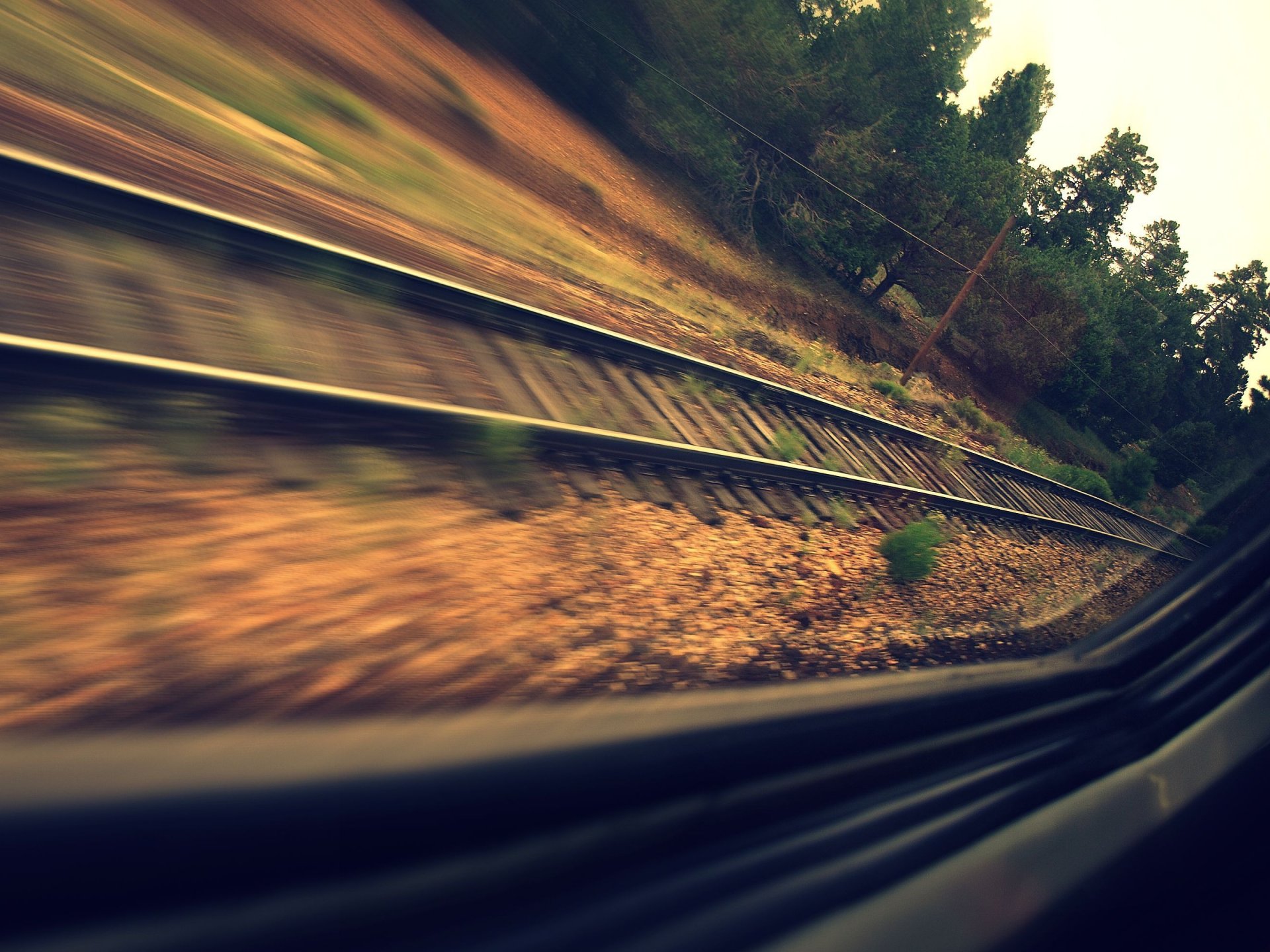 train fenêtre rails traverses route forêt vitesse