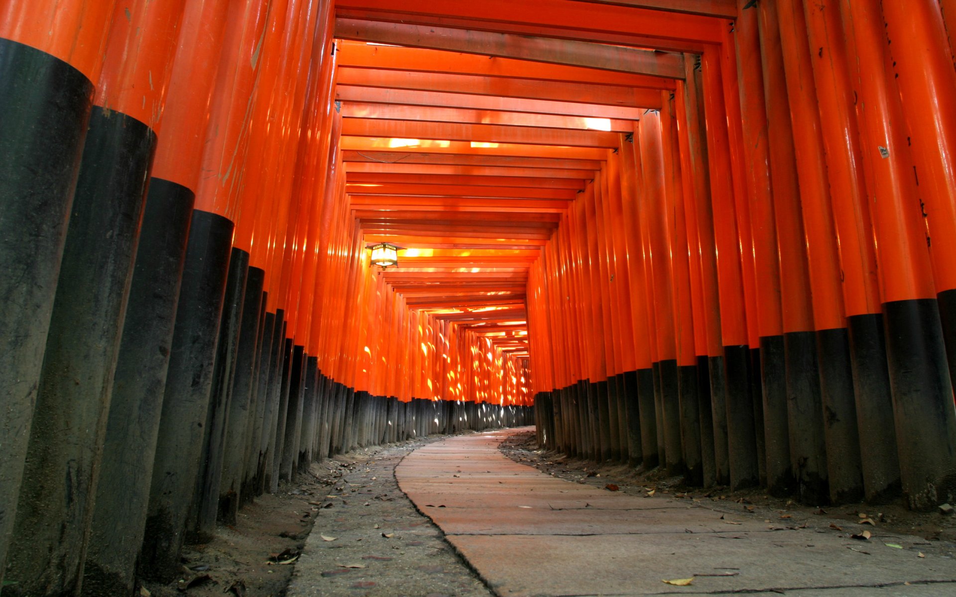 świątynia japonia shinto drewno czerwony