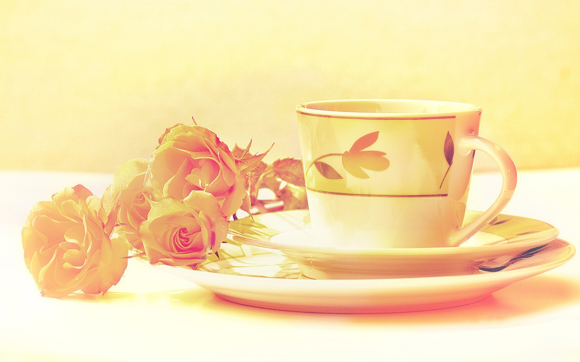 nature morte ensemble tasse soucoupe fleurs roses couleurs traitement image