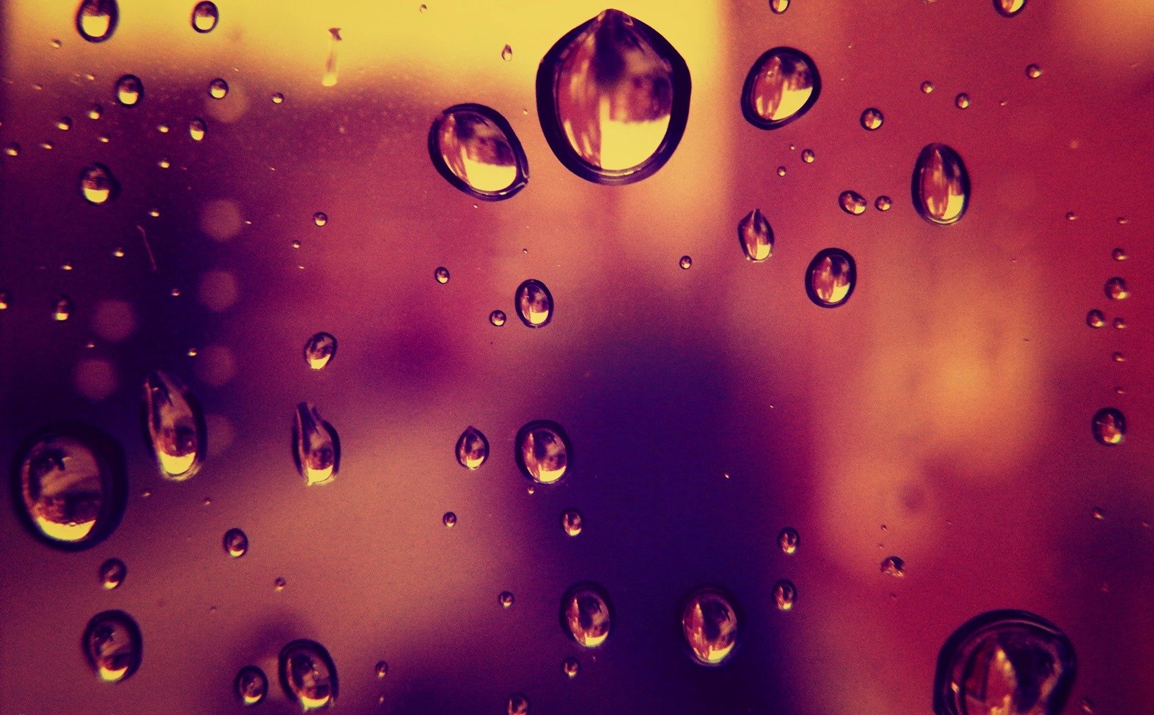 drops rain glass window bright flowers photo images wallpaper