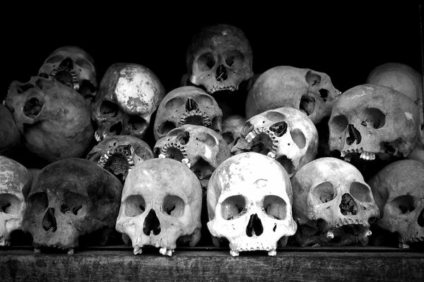 The grave warehouse of terrible skulls