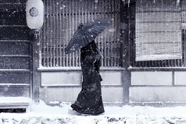 Japanischer Winterspaziergang in der Stille