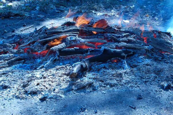 Burning logs of wood in the fire