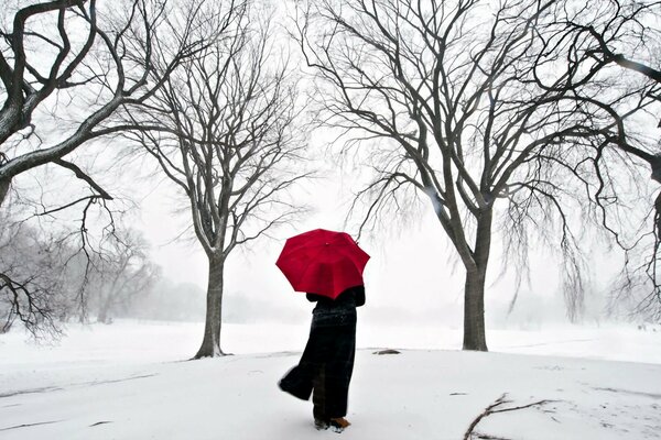 Ragazza con ombrello rosso nella foresta invernale