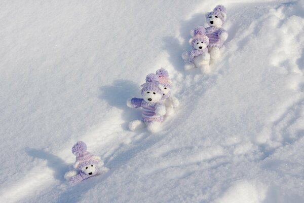 Weiße Teddybären im Schnee