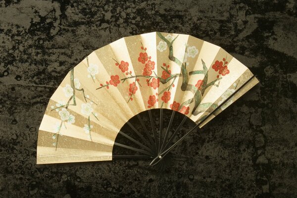 Light Chinese fan on a dark background