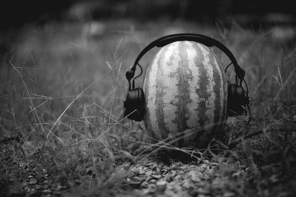 Creative melon d eau mélomane dans les écouteurs