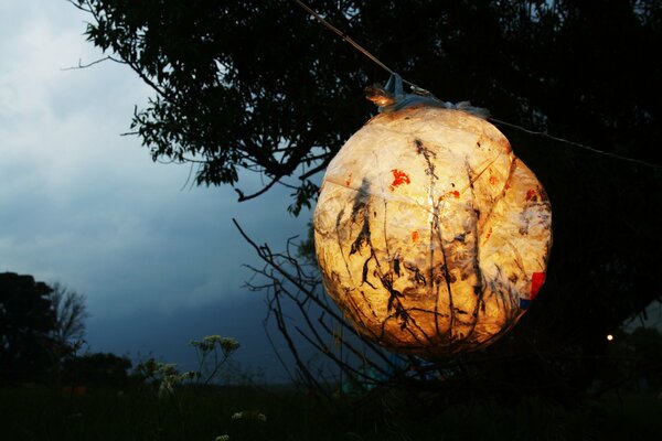 Homemade lantern hanging on a tree