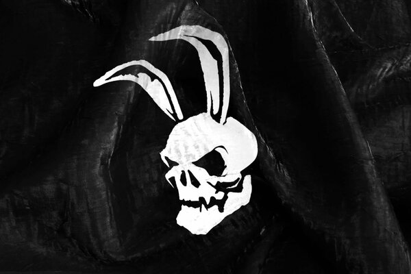 Big-eared white skull on a black background