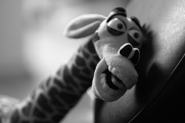 Retro photo in black and white with a soft plush giraffe