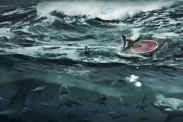 Entre las furiosas olas del mar, un hombre en una balsa, muchos tiburones bajo el agua