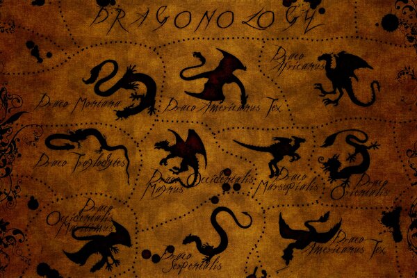 Dibujo de especies de dragones, marcas con nombres de dragones