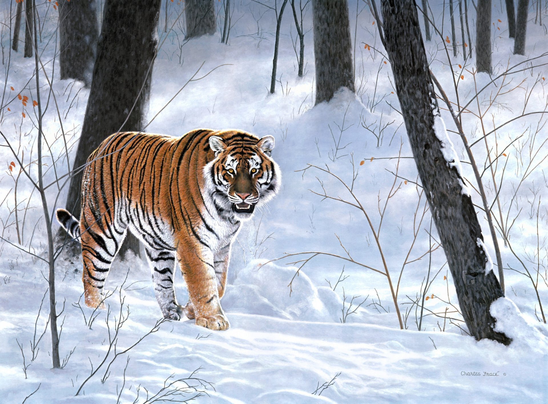 charles frace kaiser von sibirien malerei wald winter taiga tiger tiere