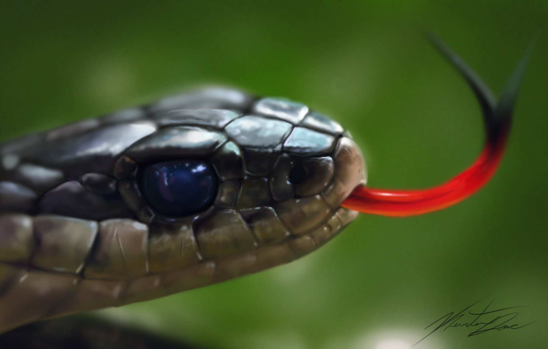 arte testa serpente lingua rettile macro sfondo verde