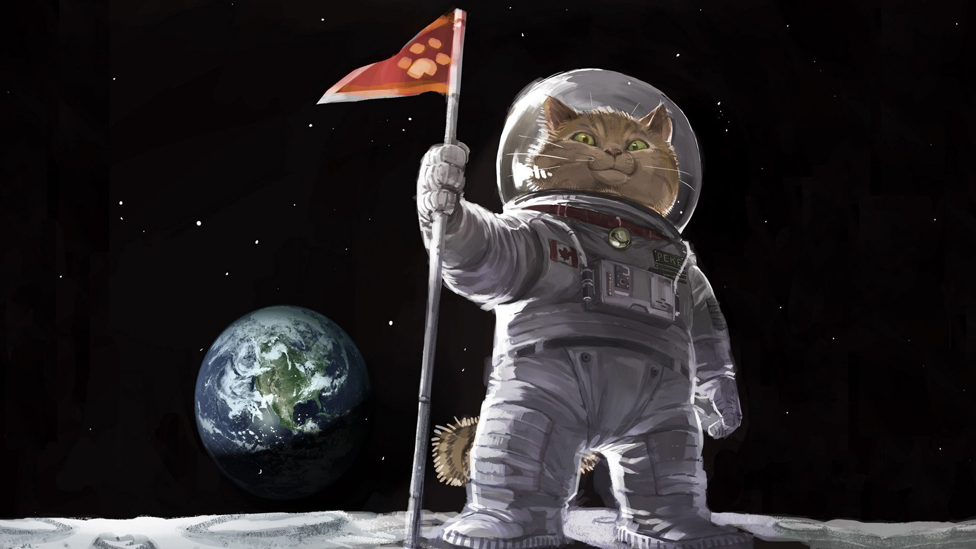 arte pintura pintura gato gato en traje espacial espacio bandera alunizaje tierra