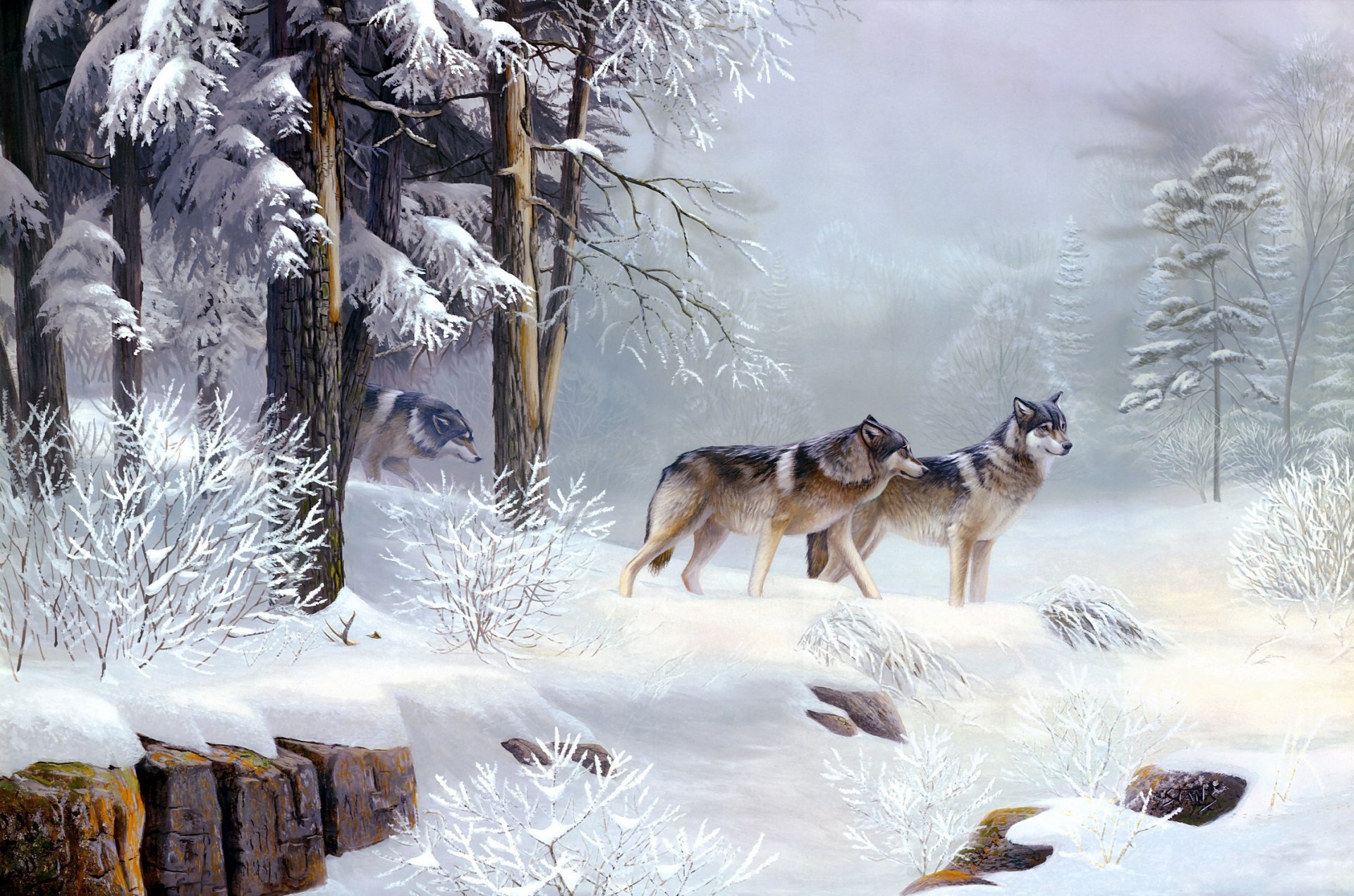 leo stans solitude du matin peinture animaux loups hiver froid glacial matin forêt