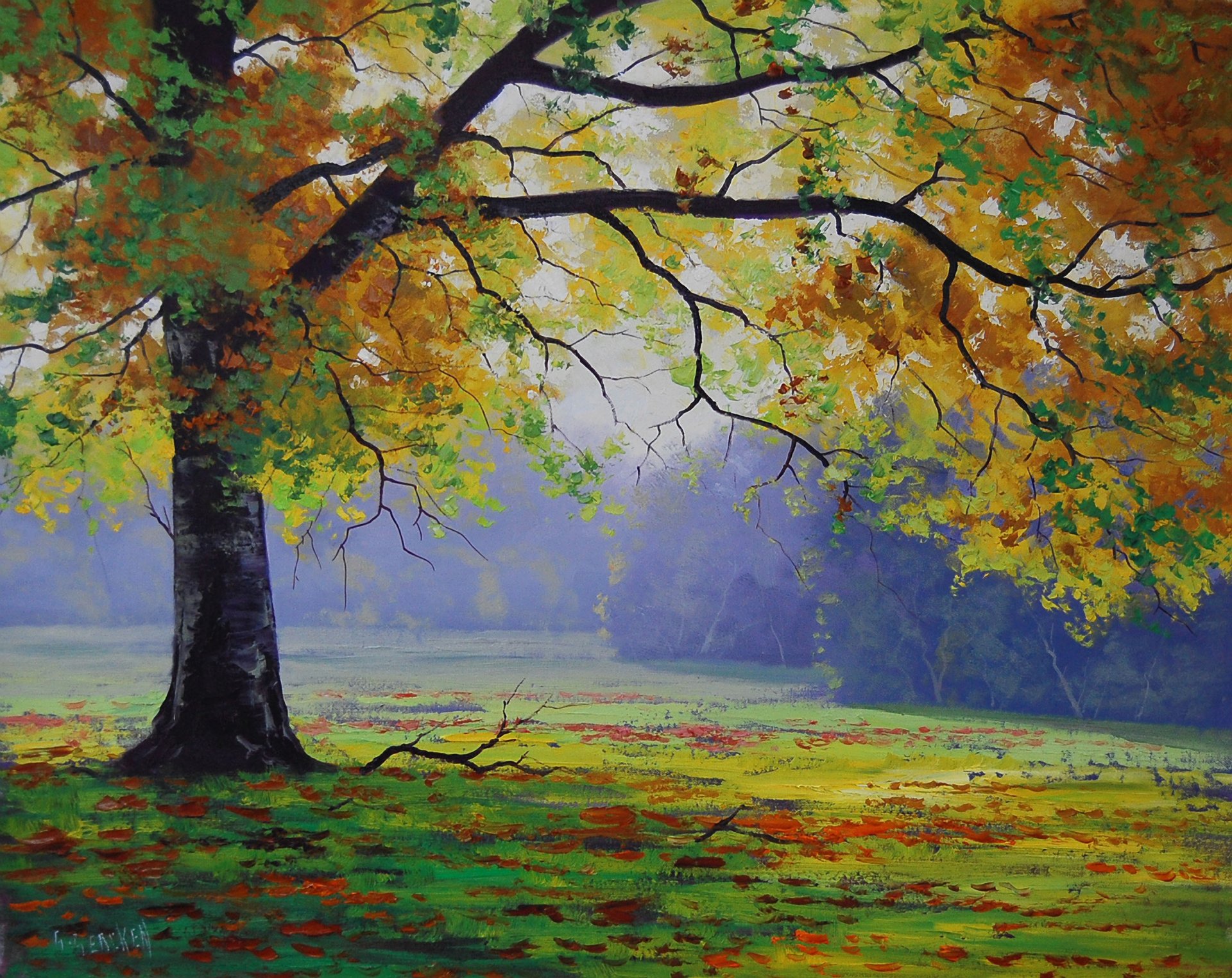 arte artsaus natura albero foresta rami