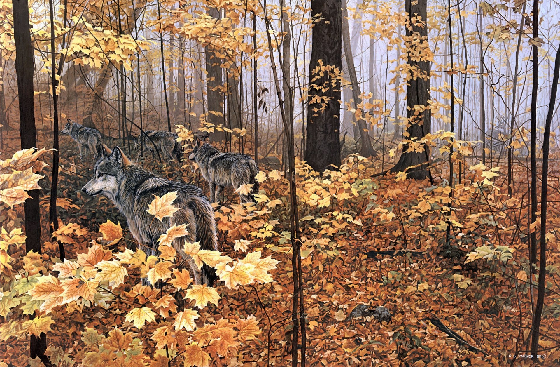 ron s. parker arces de otoño pintura naturaleza bosque otoño animales lobos hojas amarillas