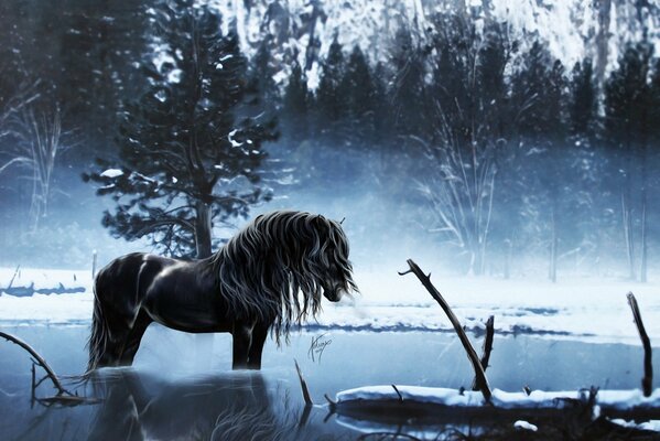 A black horse in an icy lake in the forest winter night