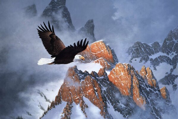 Aquila che vola sulle pendici delle montagne