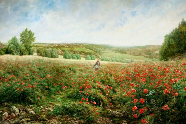 A girl among the hills collects poppies