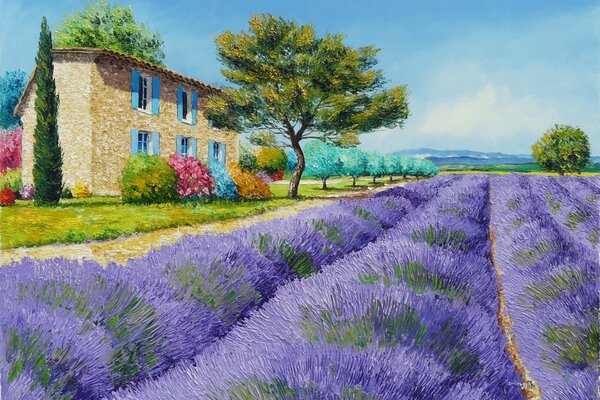 Paisaje campo de lavanda