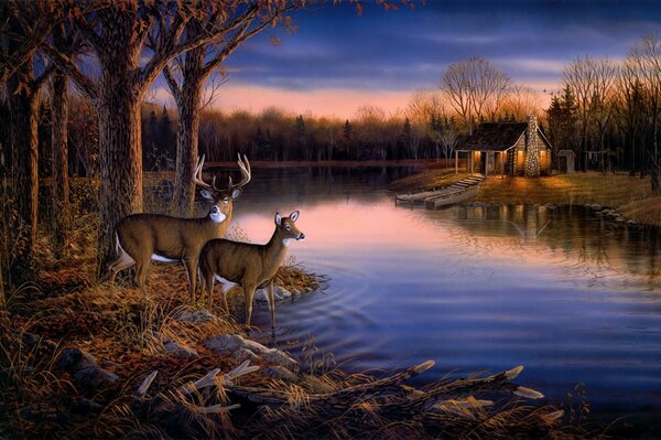 A quiet evening in nature with deer on the background of a beautiful sunset