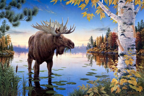 A huge moose in a pond under a birch tree