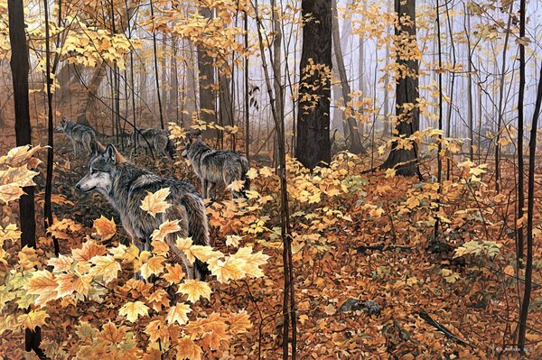 A pack of wolves in the autumn forest