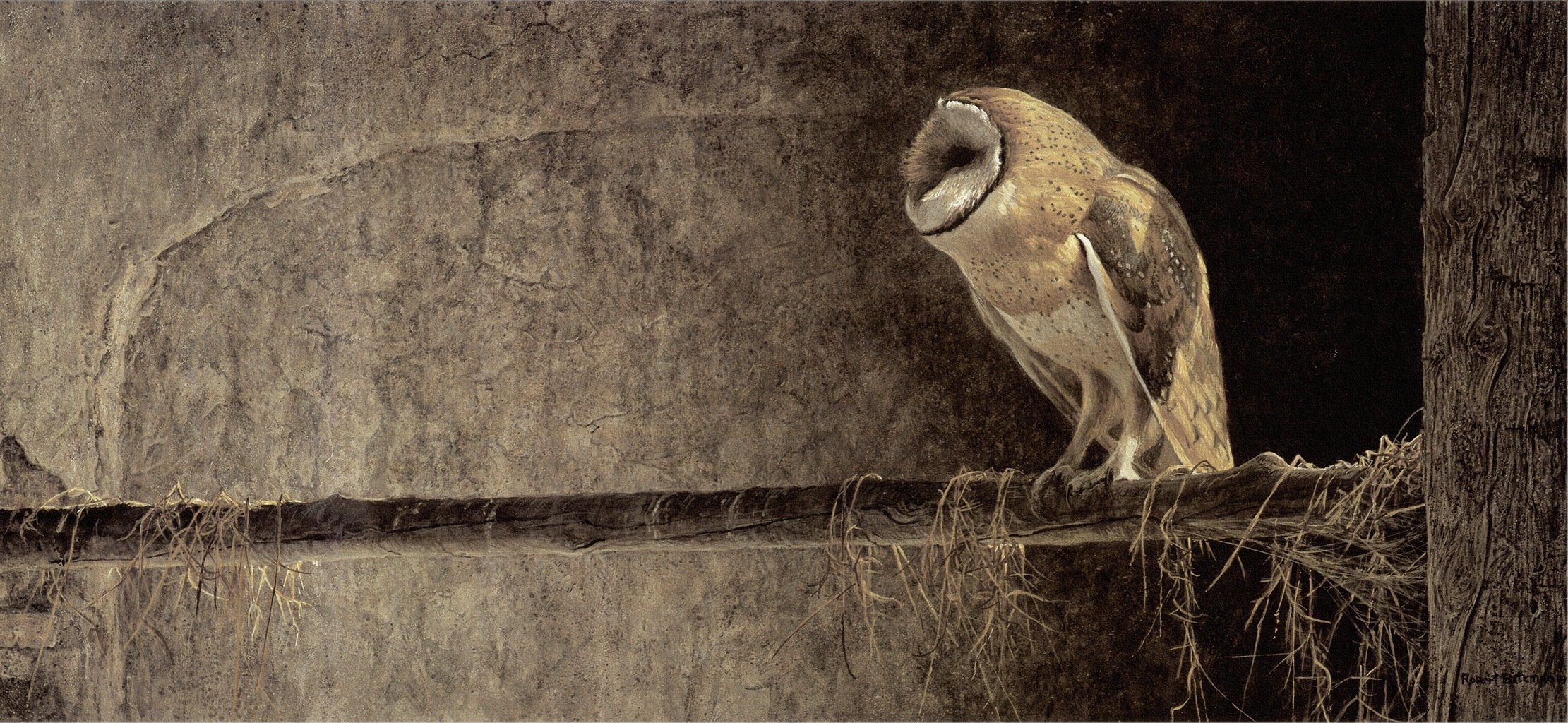 robert bateman robert batman painting owl