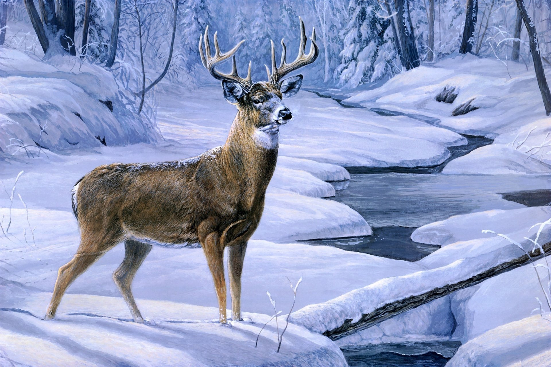 laura mark finberg november snow painting deer animal creek forest winter snow reindeer