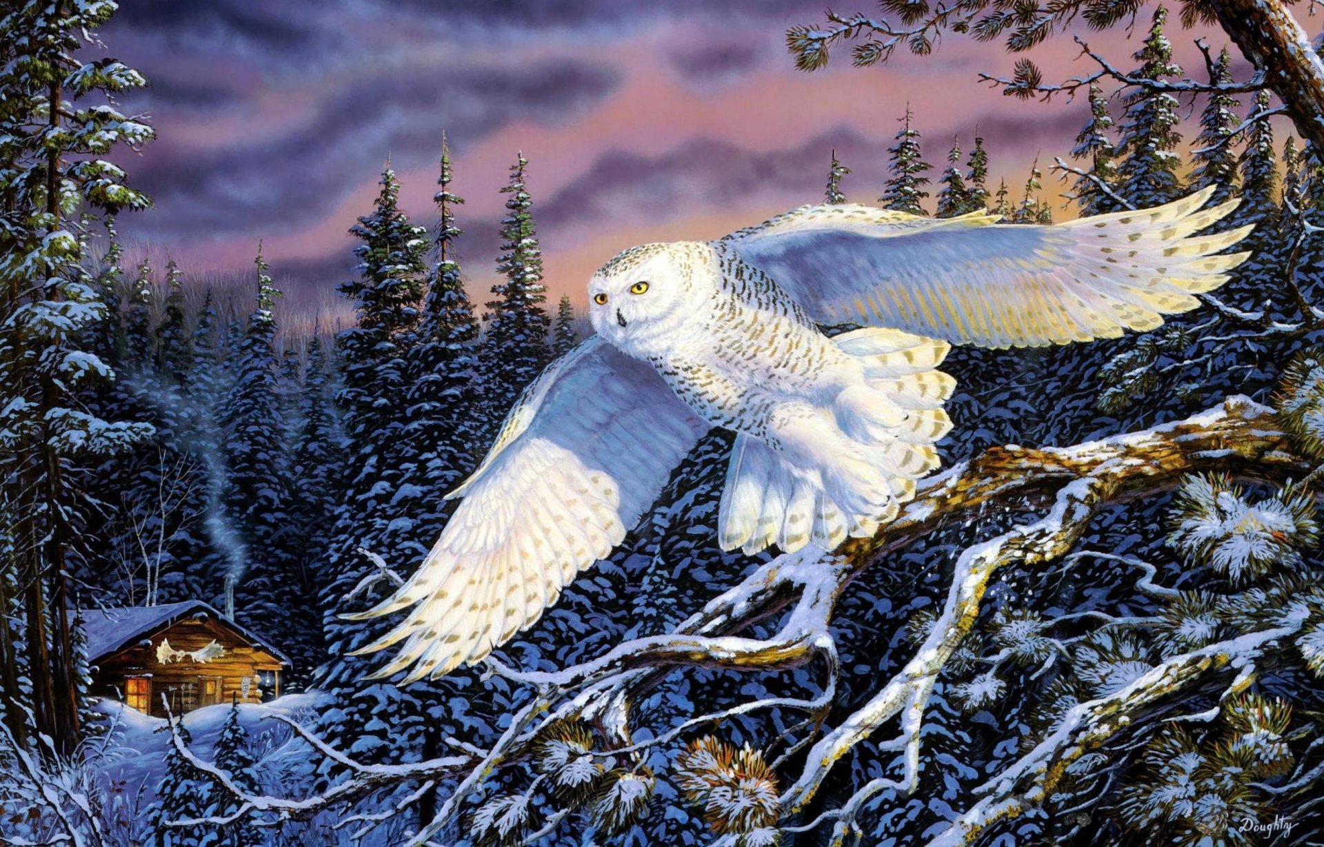 murmure dans le vent terry doughty peinture hibou de neige paysages nature hibou hiver forêt épinette cabane